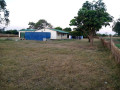 fertile-land-with-3-bedroom-house-in-lusaka-west-small-2