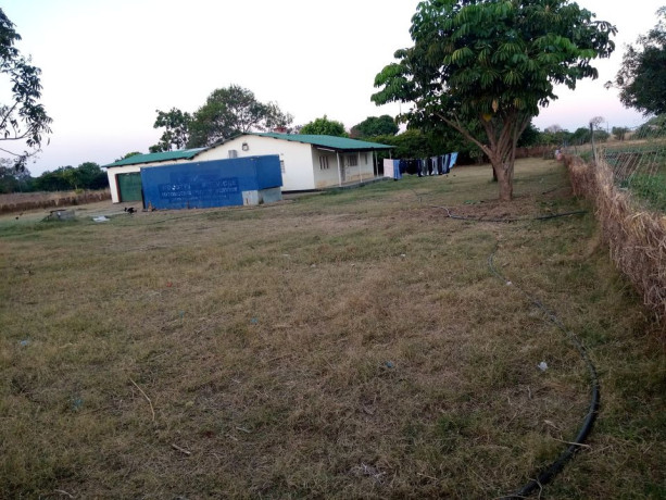 fertile-land-with-3-bedroom-house-in-lusaka-west-big-1