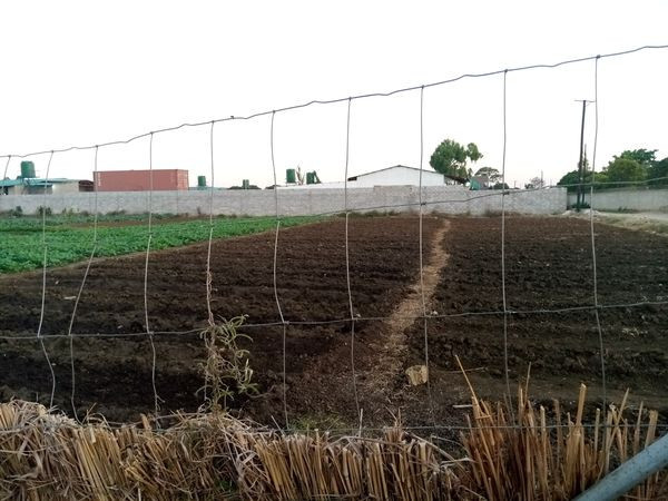 fertile-land-with-3-bedroom-house-in-lusaka-west-big-4