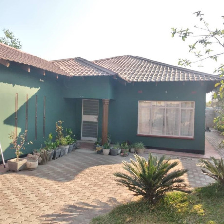 3-bedroom-flat-for-rent-in-ibex-big-9