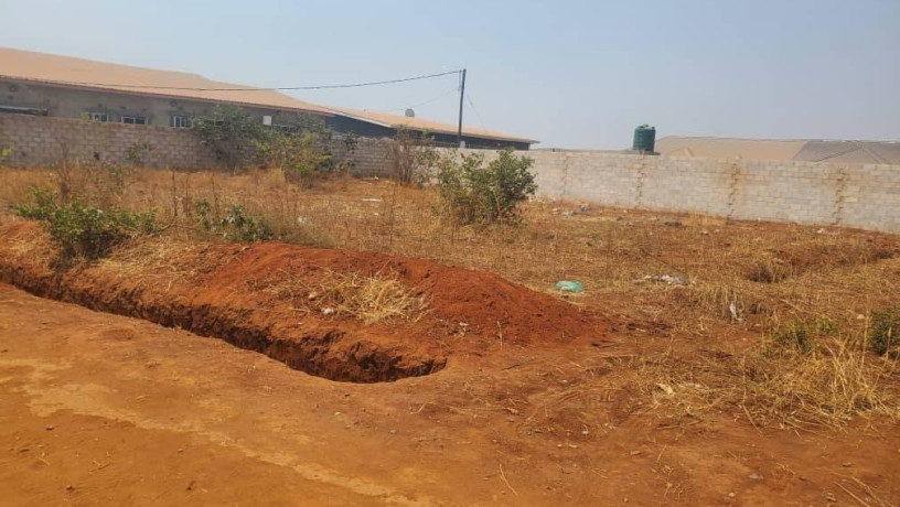 30m-by-25m-plot-for-sale-in-chalala-big-2