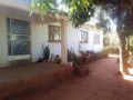 4-bedroom-house-for-sale-in-livingstone-small-0