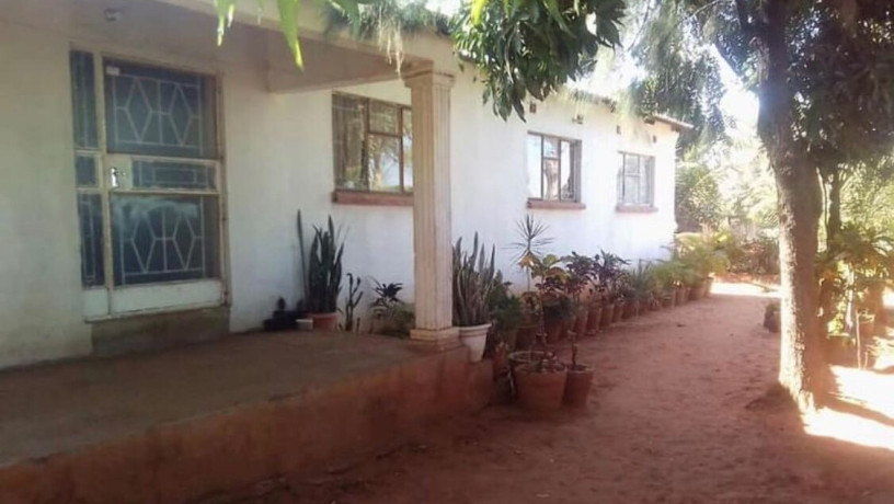 4-bedroom-house-for-sale-in-livingstone-big-0