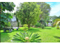 4-bedroom-house-for-sale-in-ibex-hill-small-1