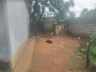 2-bedroom-stand-alone-for-sale-in-chilenje-south