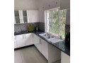 4-bedroom-house-for-rent-in-independence-avenue-small-5