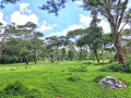 land-for-sale-in-eureka-park-small-1