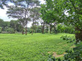 land-for-sale-in-eureka-park-small-2