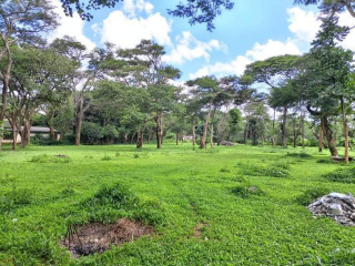 Land For Sale In Eureka Park