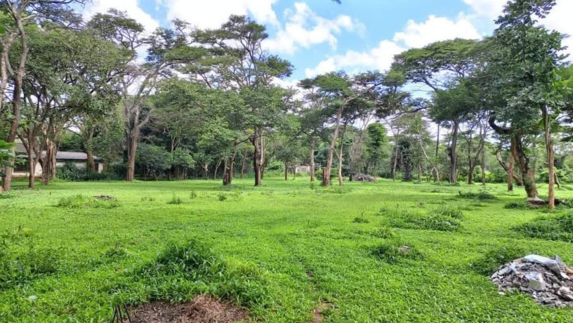 land-for-sale-in-eureka-park-big-0