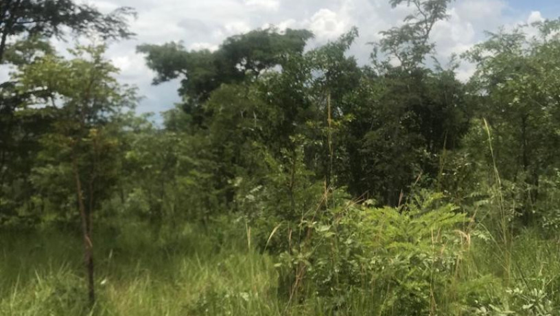 8-acres-land-for-sale-in-mikango-big-1