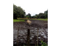 2000-hectares-farm-land-for-sale-in-chingola-small-5