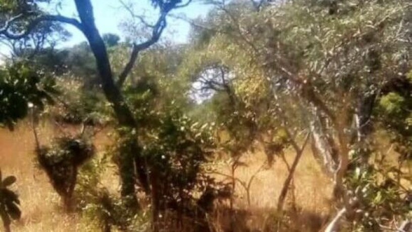 1290-hectare-land-for-sale-in-mumbwa-big-0