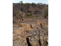 5-hectare-land-for-sale-in-mikango-barracks-small-2