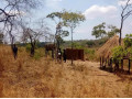 5-hectare-land-for-sale-in-mikango-barracks-small-0