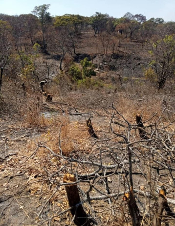 5-hectare-land-for-sale-in-mikango-barracks-big-2