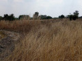 10-hectares-land-for-sale-in-chisamba-small-6