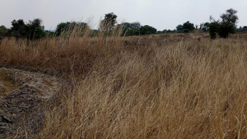 10-hectares-land-for-sale-in-chisamba-big-6