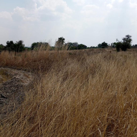 10-hectares-land-for-sale-in-chisamba-big-6