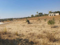 5-acre-plot-for-sale-in-nkwashi-small-4