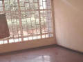 3-bedroom-house-for-rent-in-avondale-small-3