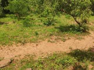 40m by 20m Plot For Sale In Chilanga