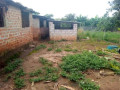 farmland-for-sale-in-palabana-chongwe-district-small-7