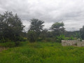 farmland-for-sale-in-palabana-chongwe-district-small-1