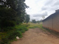 farmland-for-sale-in-palabana-chongwe-district-small-3