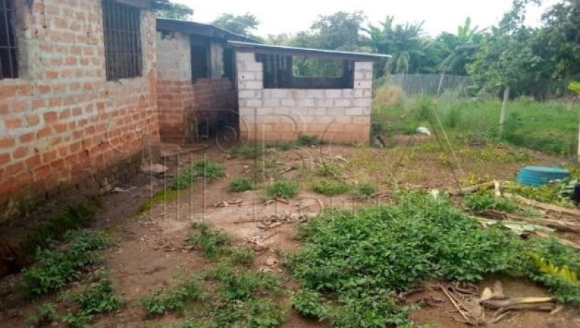 farmland-for-sale-in-palabana-chongwe-district-big-7