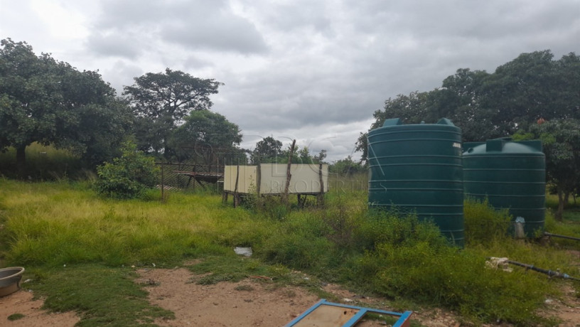 farmland-for-sale-in-palabana-chongwe-district-big-4