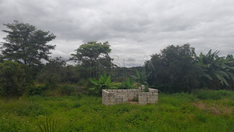 farmland-for-sale-in-palabana-chongwe-district-big-2