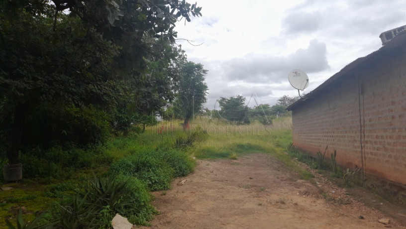 farmland-for-sale-in-palabana-chongwe-district-big-3