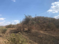 115-acre-land-for-sale-in-shimabala-small-4