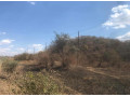 115-acre-land-for-sale-in-shimabala-small-4