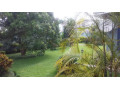 3-bedroom-house-for-rent-in-woodlands-small-8