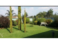 3-bedroom-house-for-rent-in-woodlands-small-6