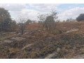 plot-for-sale-in-lusaka-west-small-0