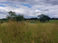 4-acre-land-for-sale-in-lusaka-west-small-5