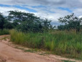 4-acre-land-for-sale-in-lusaka-west-small-4