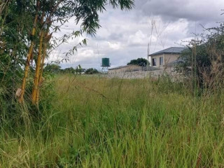 4 Acre Land For Sale in Lusaka West