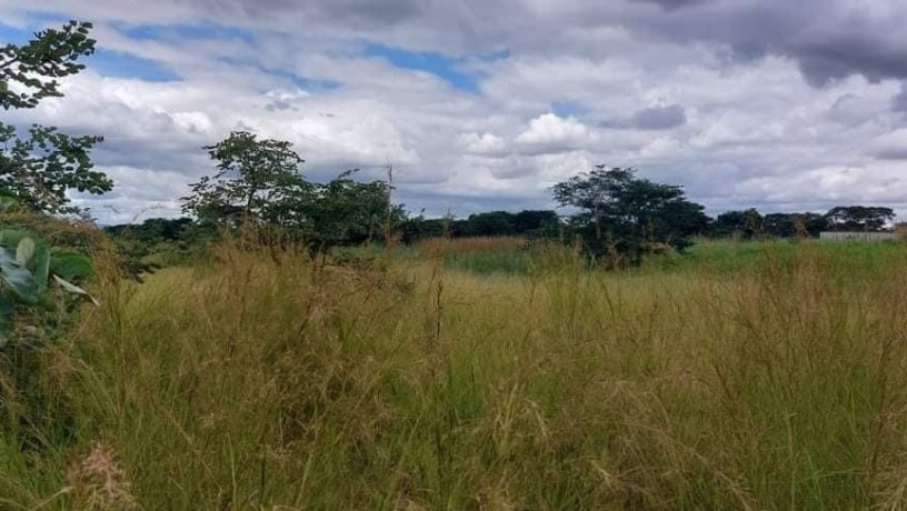 4-acre-land-for-sale-in-lusaka-west-big-5