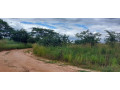 4-acre-land-for-sale-in-lusaka-west-small-4