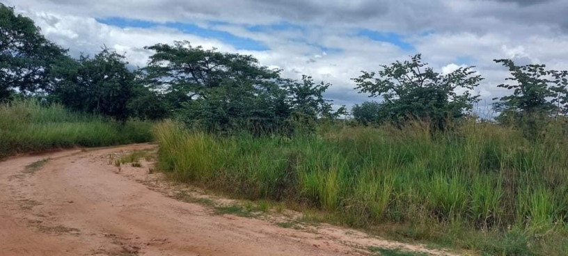 4-acre-land-for-sale-in-lusaka-west-big-4