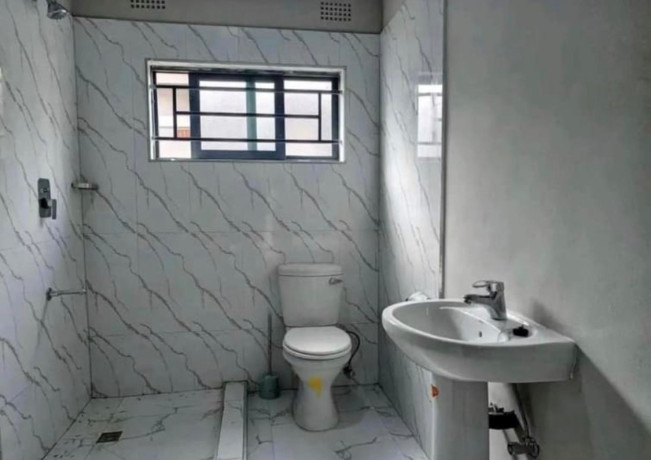 1-bedroom-houses-for-rent-in-silverest-big-4