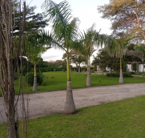 4-bedroom-house-for-sale-in-silverest-big-7