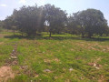 plots-for-sale-in-ibex-hill-small-4