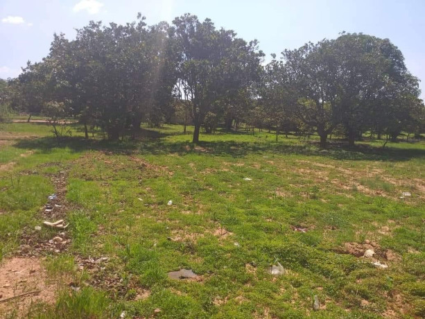 plots-for-sale-in-ibex-hill-big-4