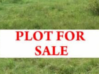 20m by 30m Plot for Sale in Ibex Area, Lusaka