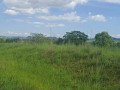 9-acre-plot-for-sale-in-mikango-barracks-small-2